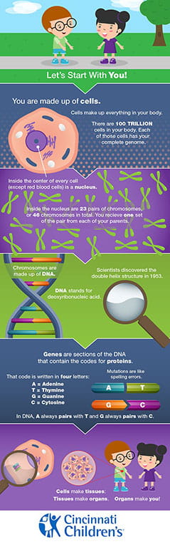 The basics of genetics infographic image.